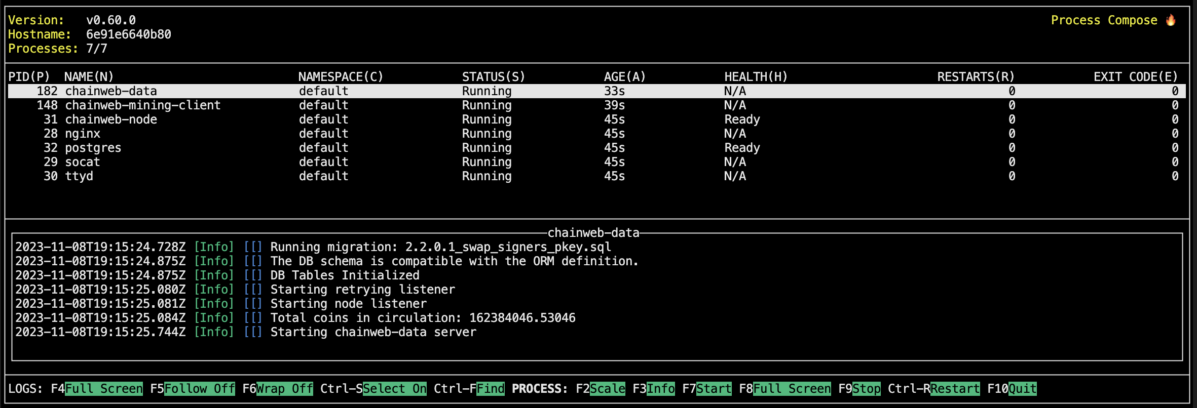 Development network (devnet) console